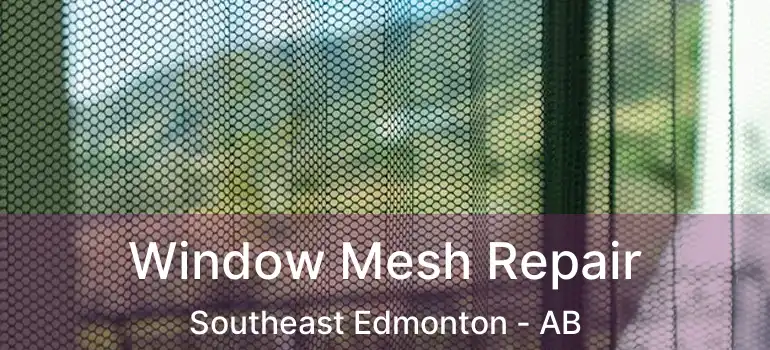  Window Mesh Repair Southeast Edmonton - AB