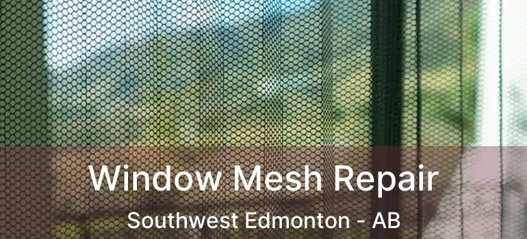  Window Mesh Repair Southwest Edmonton - AB
