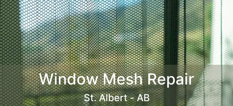  Window Mesh Repair St. Albert - AB