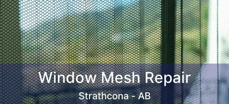  Window Mesh Repair Strathcona - AB