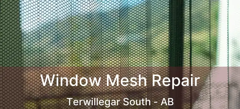  Window Mesh Repair Terwillegar South - AB