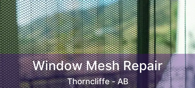  Window Mesh Repair Thorncliffe - AB