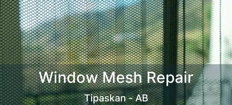  Window Mesh Repair Tipaskan - AB