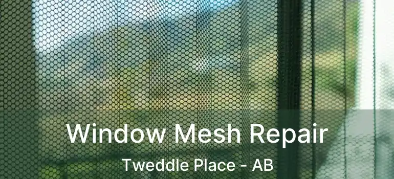  Window Mesh Repair Tweddle Place - AB