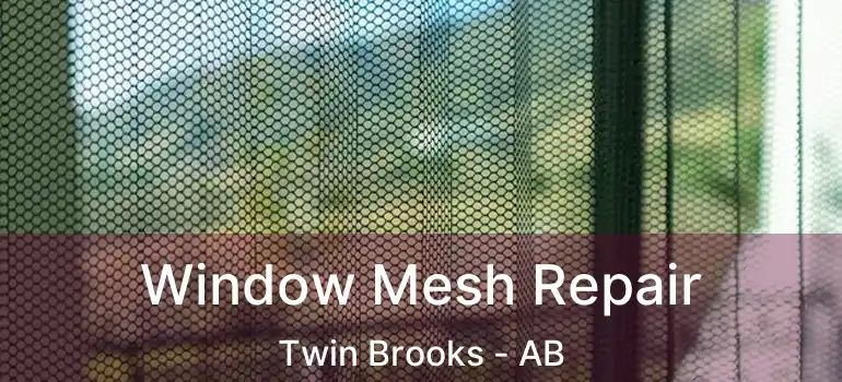  Window Mesh Repair Twin Brooks - AB