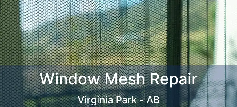  Window Mesh Repair Virginia Park - AB