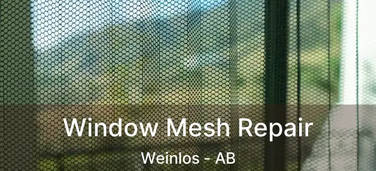  Window Mesh Repair Weinlos - AB