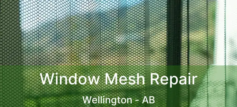  Window Mesh Repair Wellington - AB