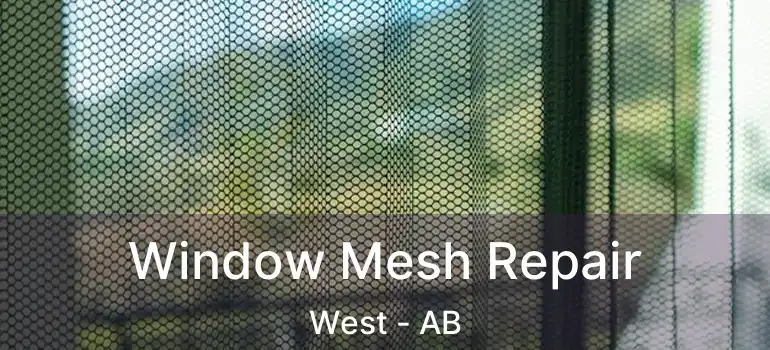  Window Mesh Repair West - AB