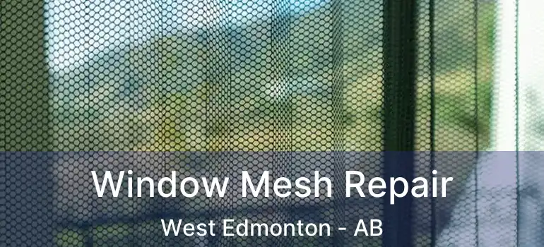  Window Mesh Repair West Edmonton - AB