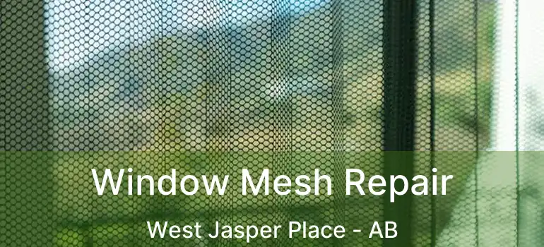  Window Mesh Repair West Jasper Place - AB