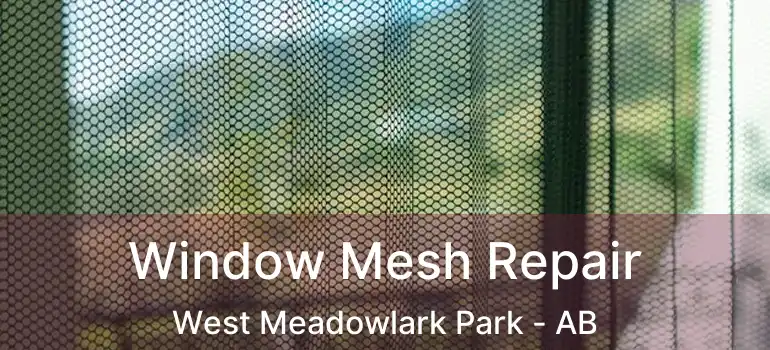 Window Mesh Repair West Meadowlark Park - AB
