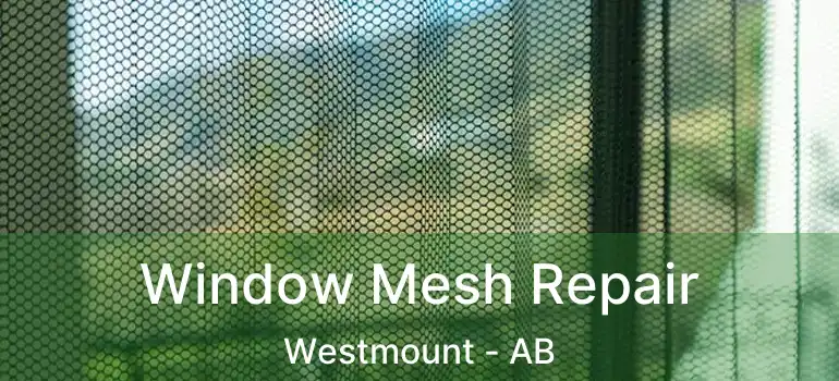  Window Mesh Repair Westmount - AB