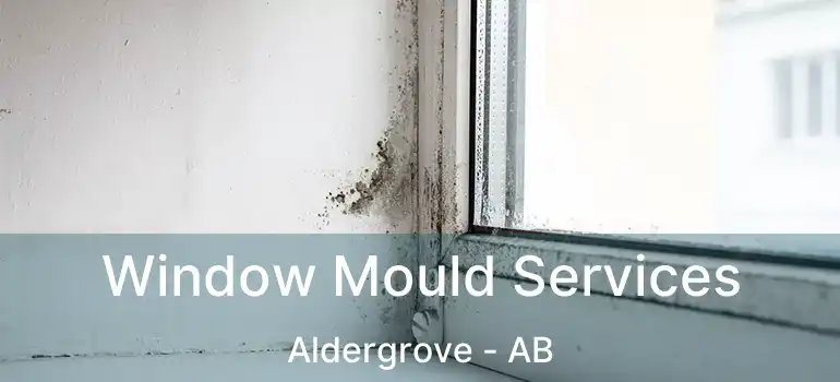  Window Mould Services Aldergrove - AB