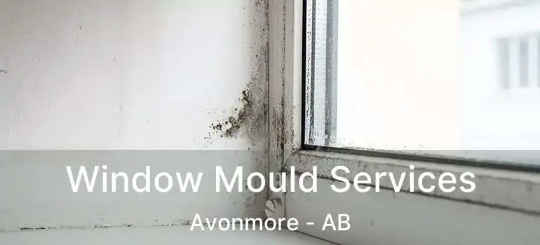  Window Mould Services Avonmore - AB