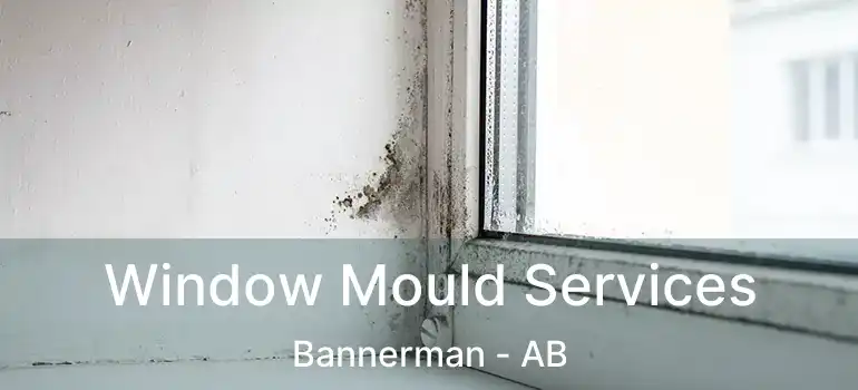  Window Mould Services Bannerman - AB