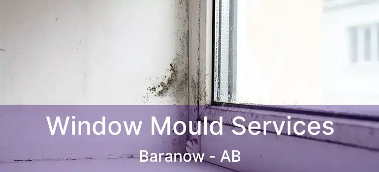  Window Mould Services Baranow - AB