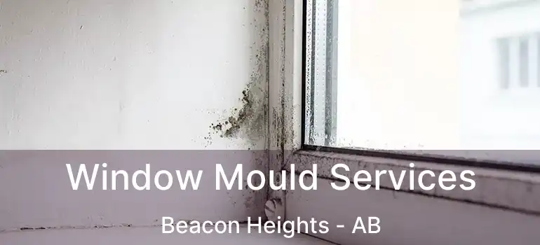  Window Mould Services Beacon Heights - AB
