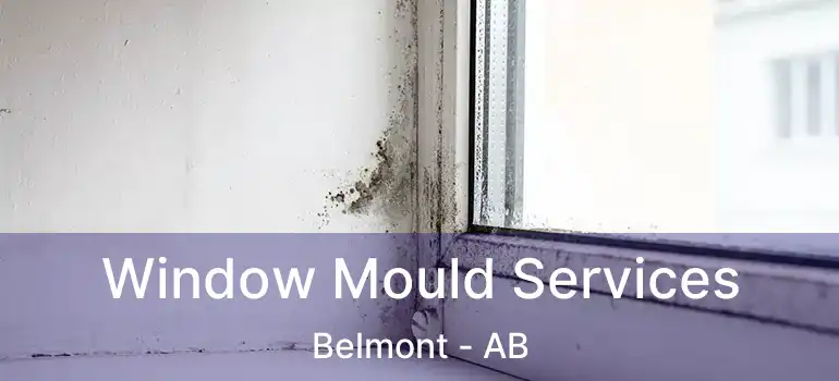  Window Mould Services Belmont - AB
