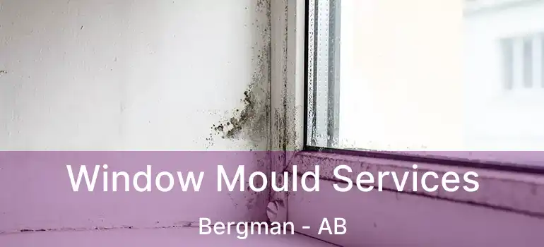  Window Mould Services Bergman - AB
