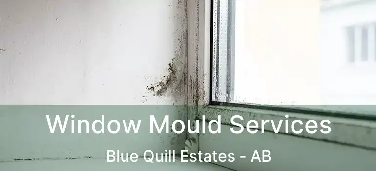  Window Mould Services Blue Quill Estates - AB
