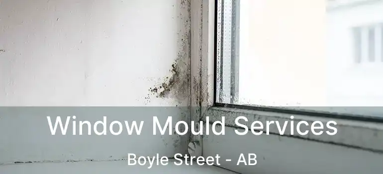  Window Mould Services Boyle Street - AB