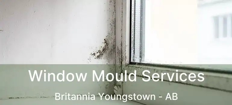  Window Mould Services Britannia Youngstown - AB