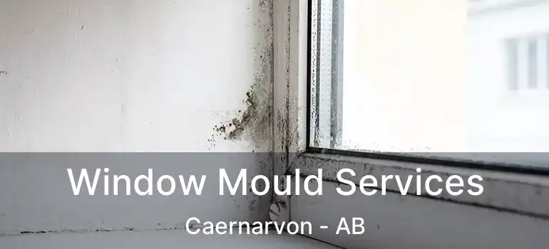  Window Mould Services Caernarvon - AB