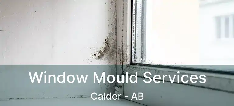  Window Mould Services Calder - AB