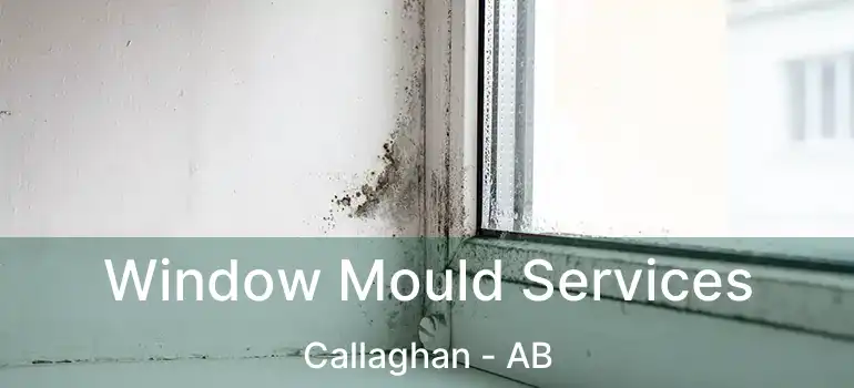  Window Mould Services Callaghan - AB