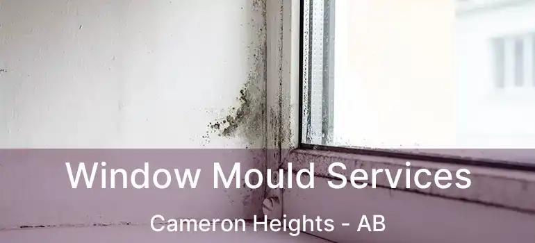  Window Mould Services Cameron Heights - AB