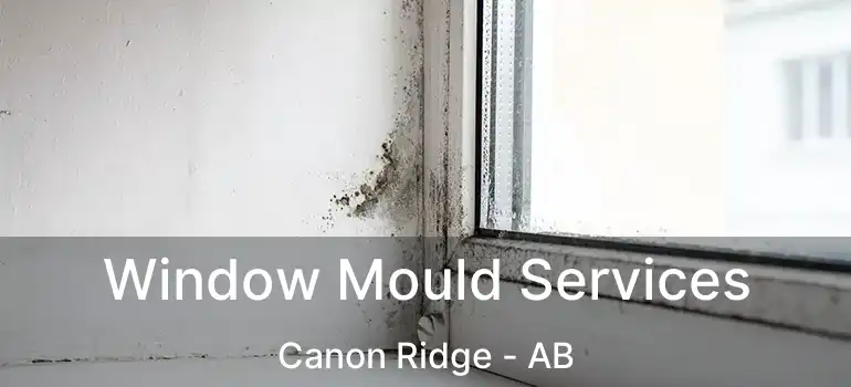  Window Mould Services Canon Ridge - AB