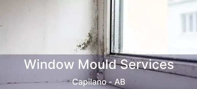 Window Mould Services Capilano - AB