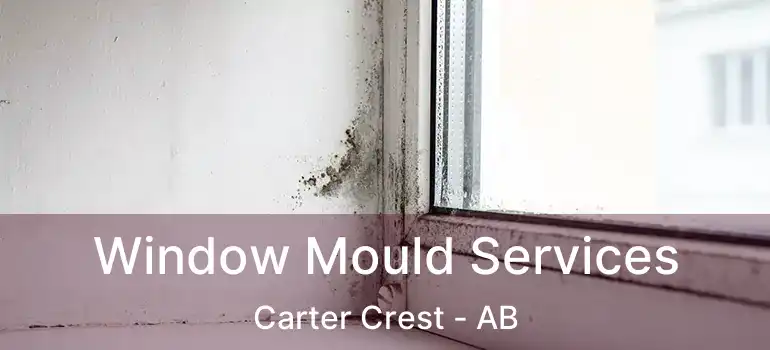  Window Mould Services Carter Crest - AB