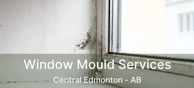  Window Mould Services Central Edmonton - AB