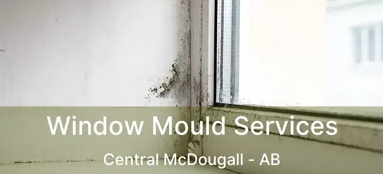  Window Mould Services Central McDougall - AB