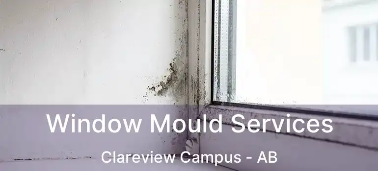  Window Mould Services Clareview Campus - AB