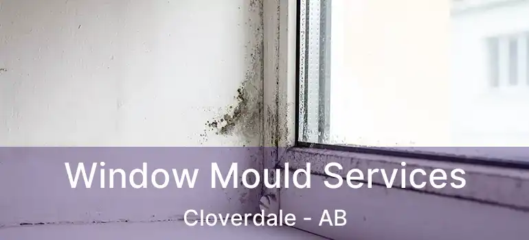  Window Mould Services Cloverdale - AB