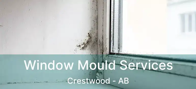  Window Mould Services Crestwood - AB