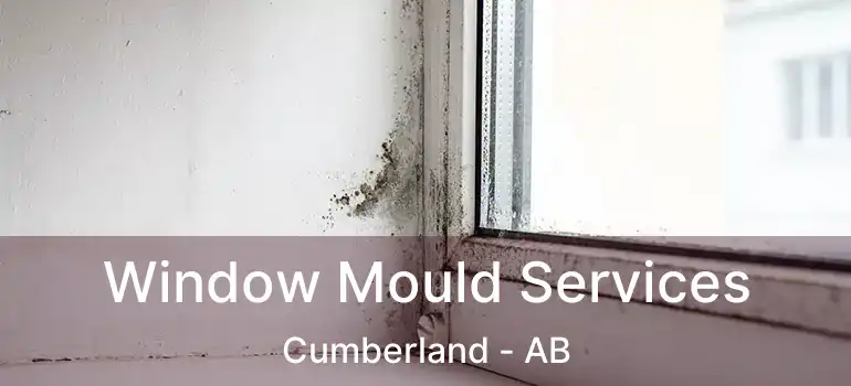  Window Mould Services Cumberland - AB