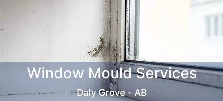  Window Mould Services Daly Grove - AB