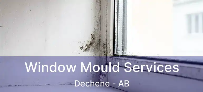  Window Mould Services Dechene - AB