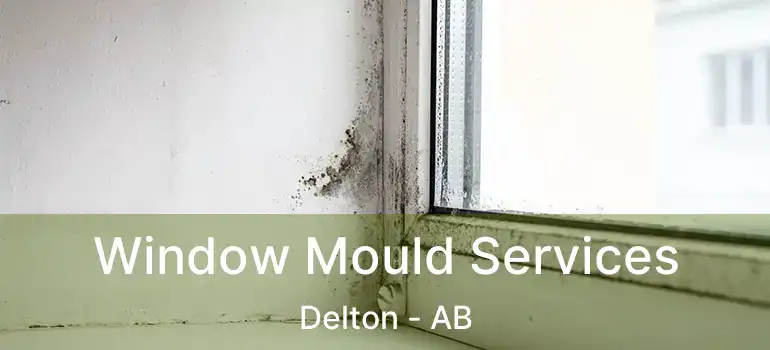  Window Mould Services Delton - AB