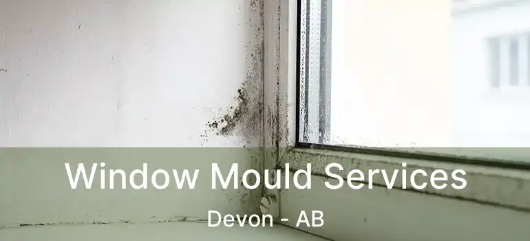  Window Mould Services Devon - AB