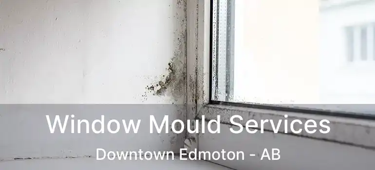  Window Mould Services Downtown Edmoton - AB