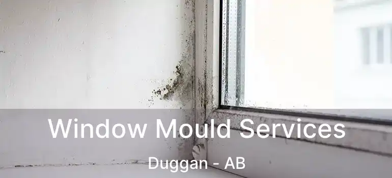  Window Mould Services Duggan - AB