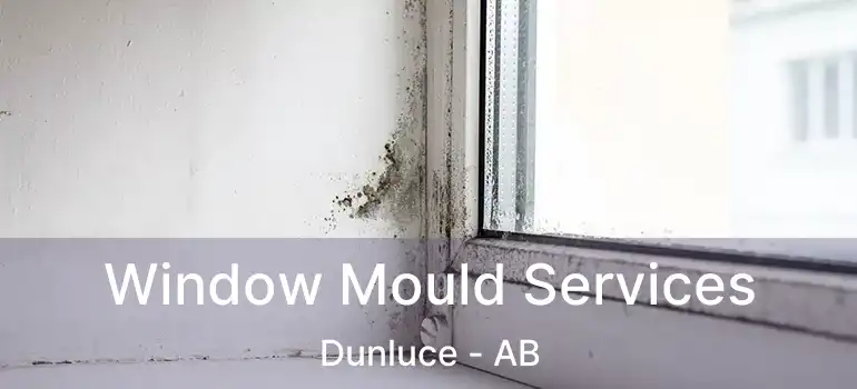  Window Mould Services Dunluce - AB