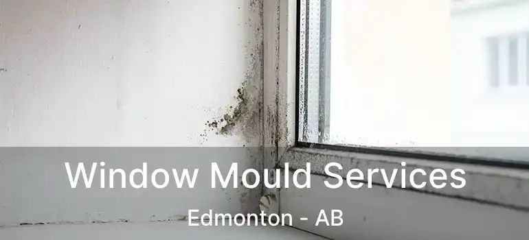  Window Mould Services Edmonton - AB