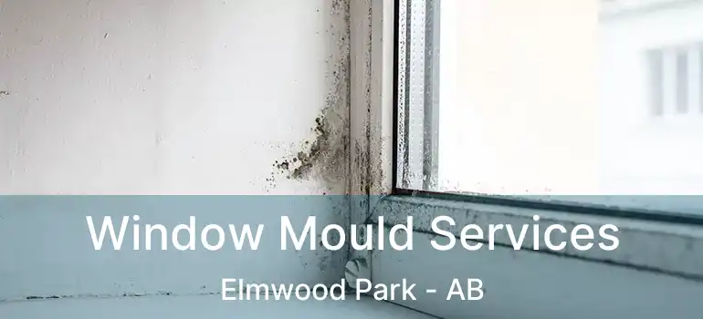  Window Mould Services Elmwood Park - AB