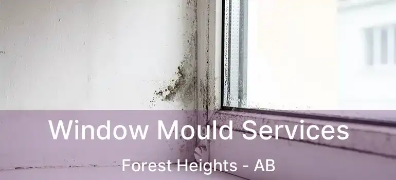  Window Mould Services Forest Heights - AB
